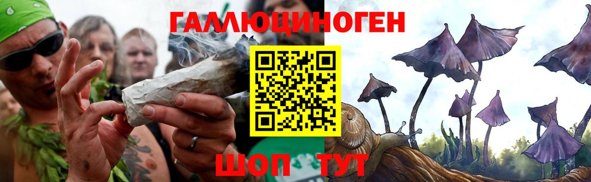 Галлюциногенные грибы прущие грибы  Вход с VPN  купить наркотики цена  Магнитогорск 
